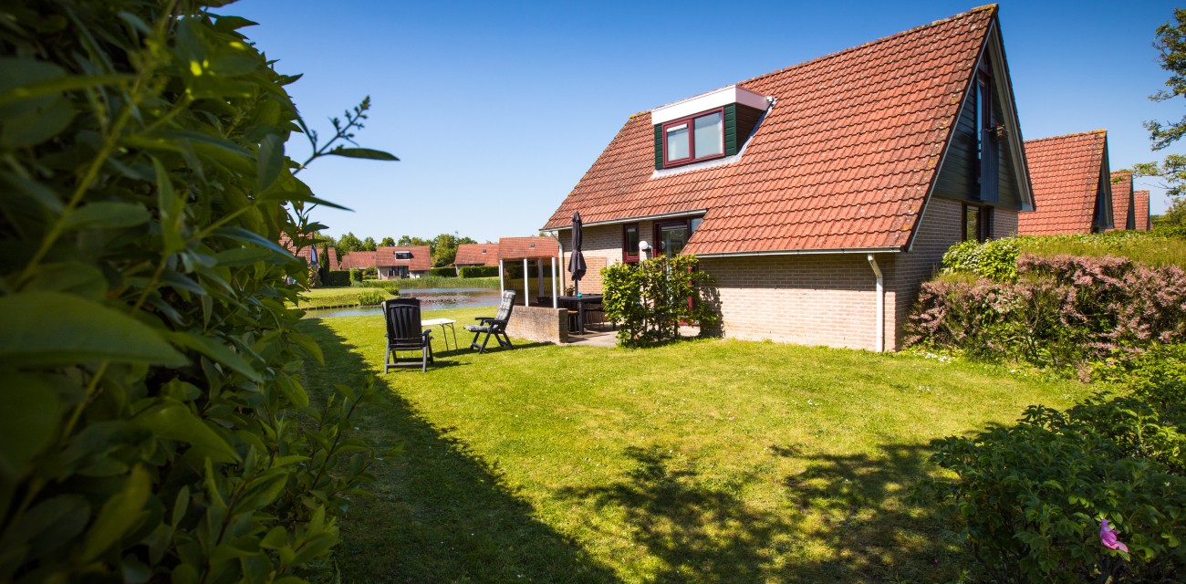 buitenkant orchis.jpg