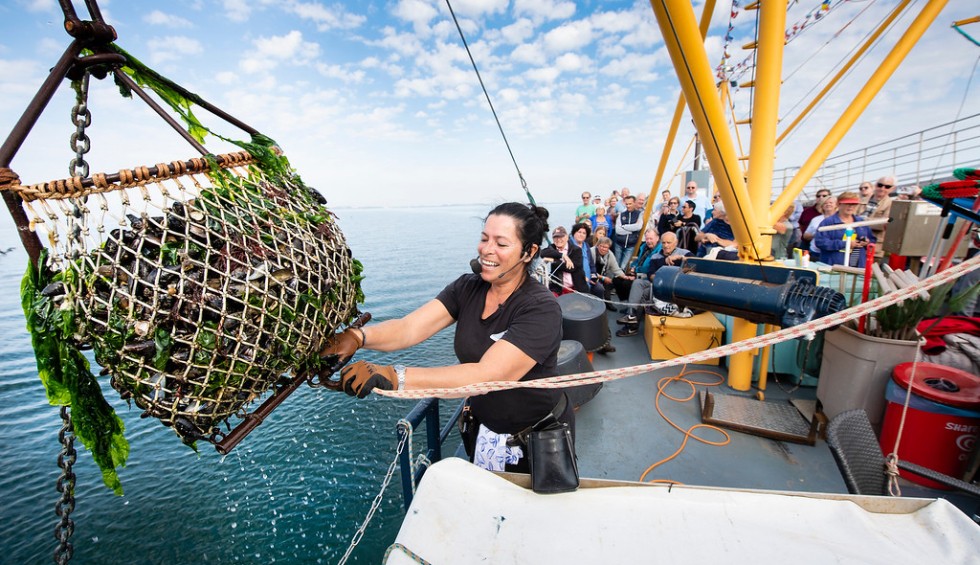 Marstrand Mosseltour - NIEUW.jpg