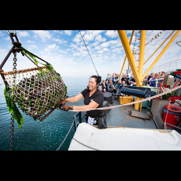Marschland-Kreuzfahrten - Muschel-Tour