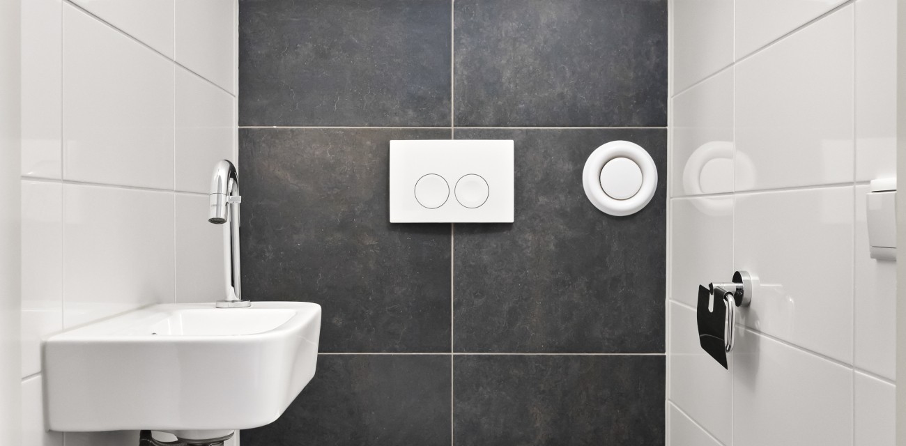Orchis - Toilet.jpg