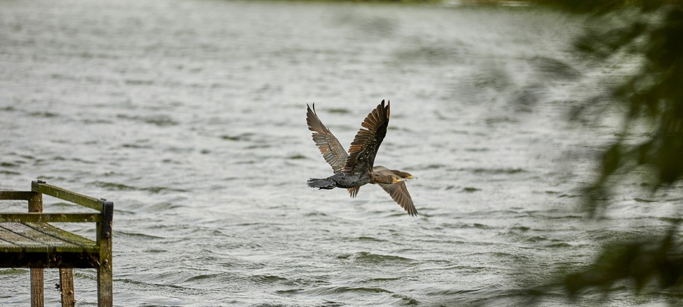 20201002_HofvanZeeland-Koppel2-0055.jpg