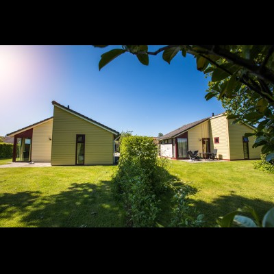 buitenkant crocus.jpg