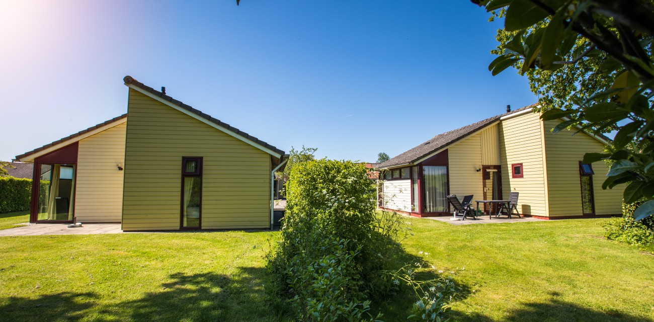 buitenkant crocus.jpg