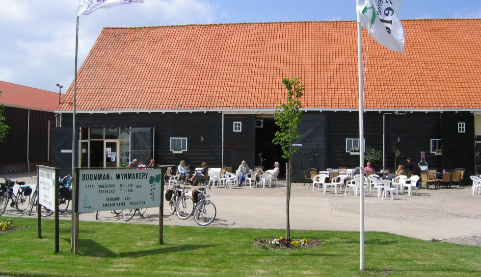 Boonmans wijnmakerij-min.jpg