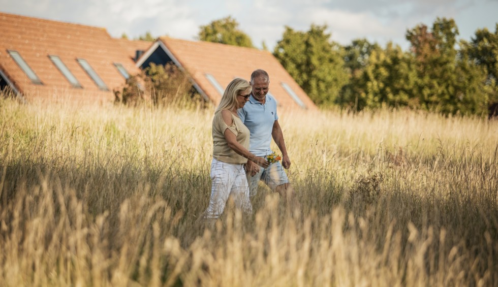 Stel - Weiland - Gras