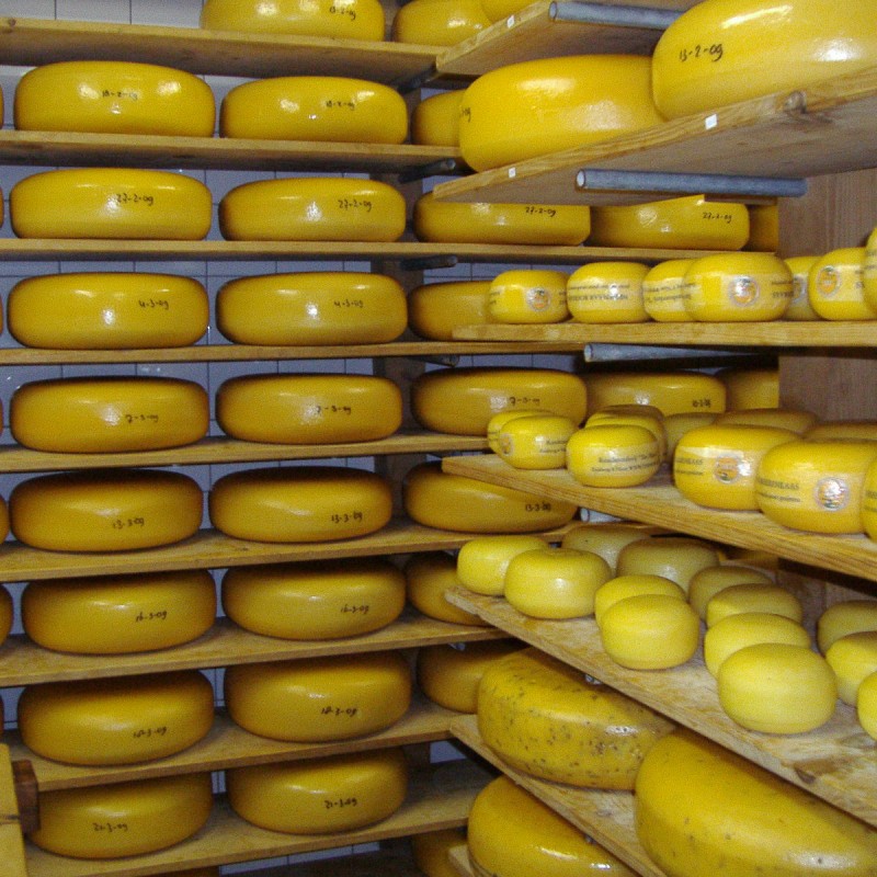 Käsebetrieb Ter Nisse