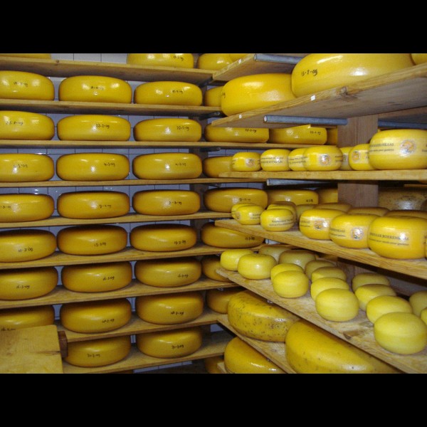 Käsebetrieb Ter Nisse