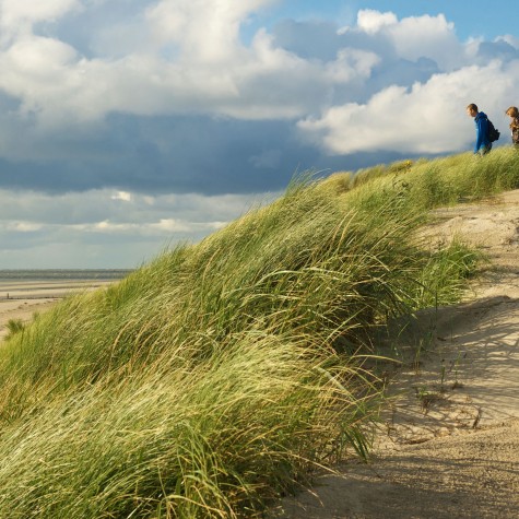 duinen.jpg