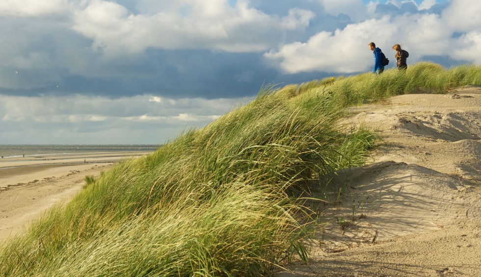 duinen.jpg